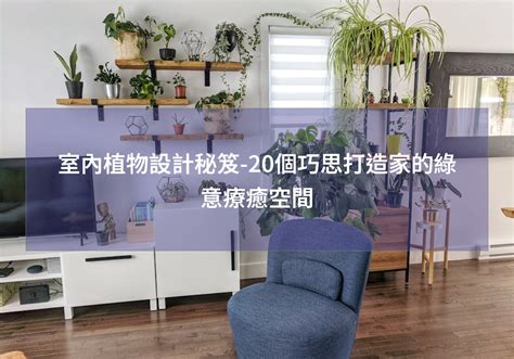 房間植物佈置|室內植物設計秘笈